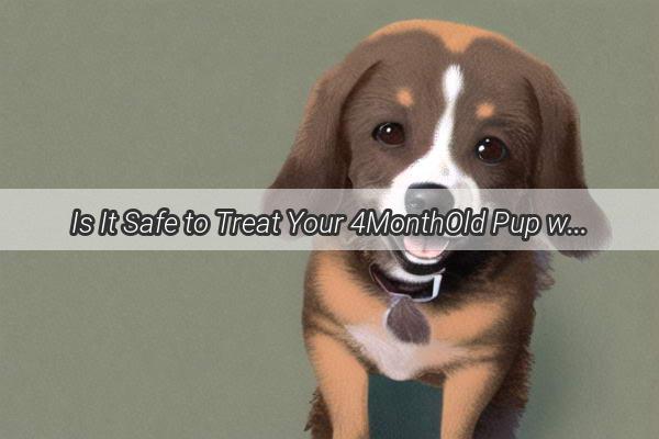 Is It Safe to Treat Your 4MonthOld Pup with Treats A Delightful Dilemma for Dog Lovers